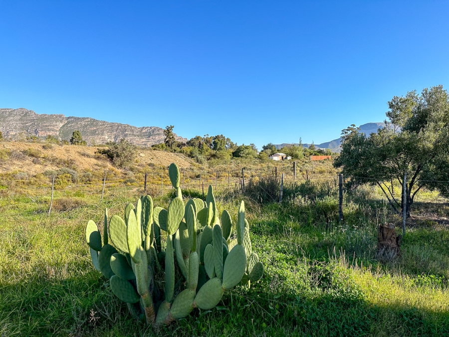 3 Bedroom Property for Sale in Barrydale Western Cape
